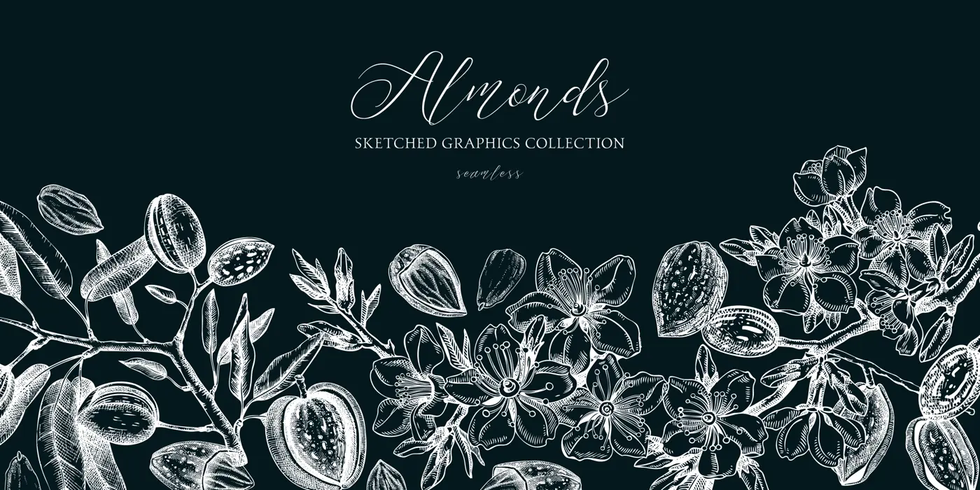 Almond background. Blooming branches, almond nuts, flowers, leaves sketches. Hand drawn vector illustration. Vintage floral design. Spring trees border on chalkboard Illustration